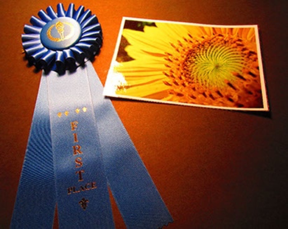 First Place Photography award