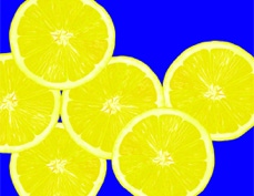 Lemons - Digital illustration